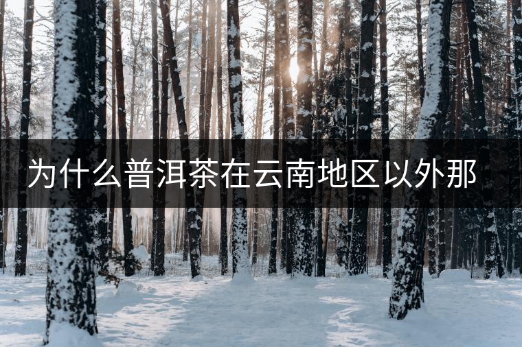 為什么普洱茶在云南地區(qū)以外那么受歡迎？