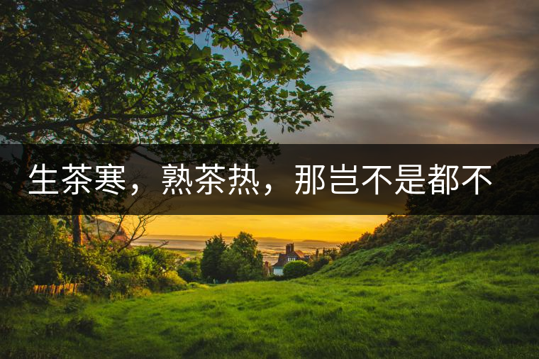 生茶寒，熟茶熱，那豈不是都不能喝了？丨實用