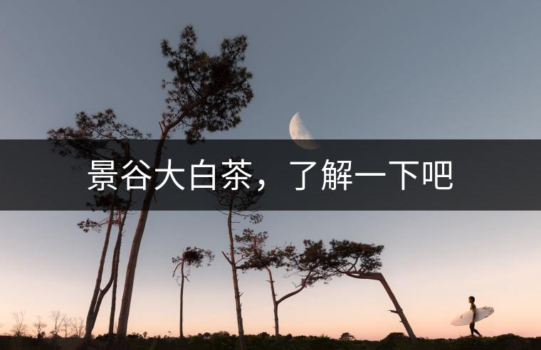 景谷大白茶，了解一下吧