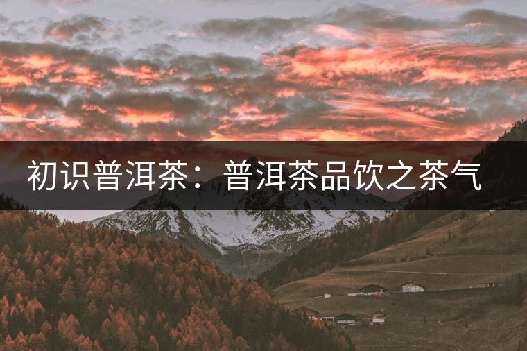 初識普洱茶：普洱茶品飲之茶氣體驗(yàn)