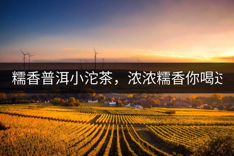 糯香普洱小沱茶，濃濃糯香你喝過嗎？