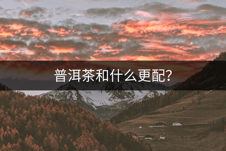 普洱茶和什么更配？