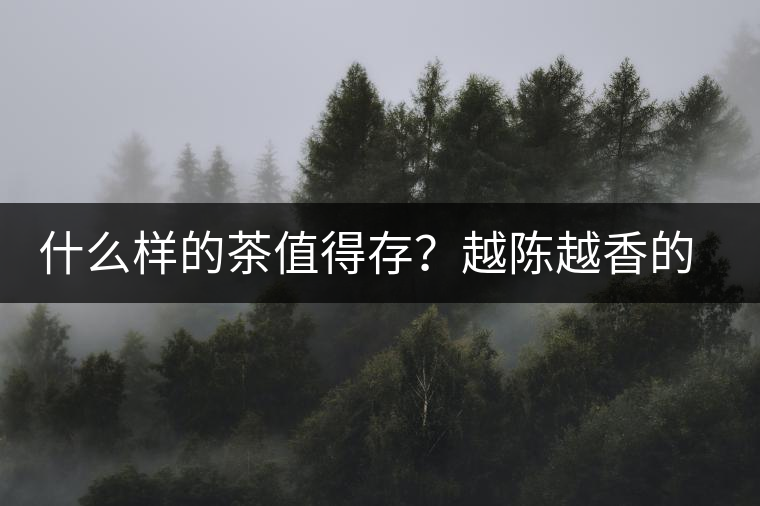 什么樣的茶值得存？越陳越香的本質(zhì)是什么？