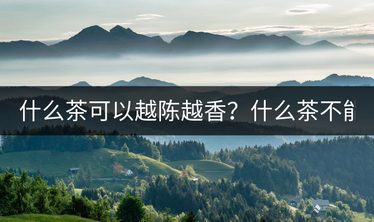 什么茶可以越陳越香？什么茶不能？