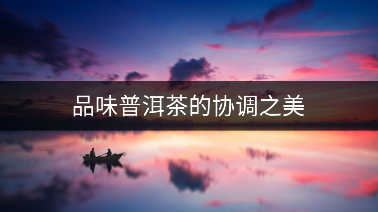 品味普洱茶的協(xié)調之美