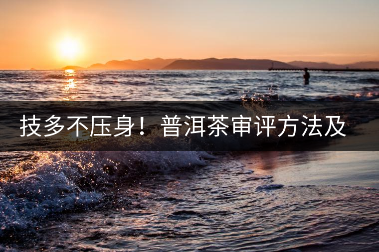 技多不壓身！普洱茶審評(píng)方法及專業(yè)術(shù)語大全（下）