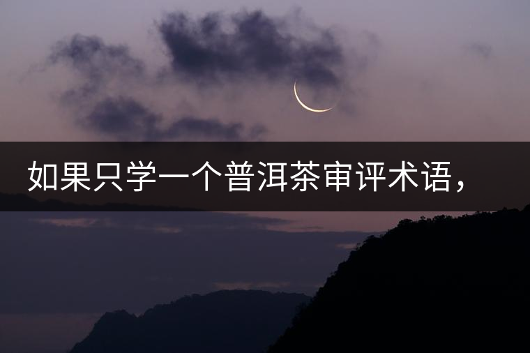 如果只學(xué)一個普洱茶審評術(shù)語，那應(yīng)該是什么？