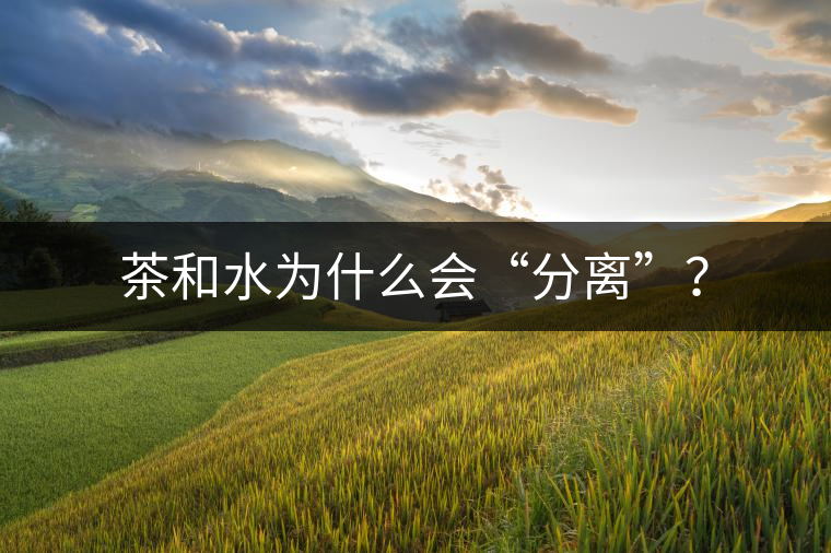 茶和水為什么會“分離”？