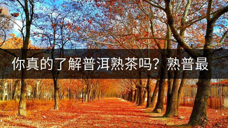 你真的了解普洱熟茶嗎？熟普最詳細(xì)的揭秘都在這里了。