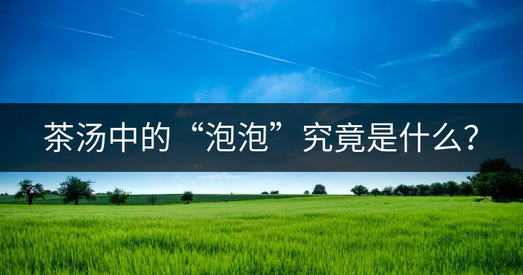 茶湯中的“泡泡”究竟是什么？