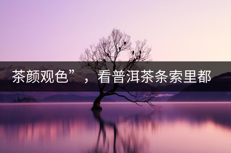 茶顏觀色”，看普洱茶條索里都蘊含著怎樣的“密碼”？