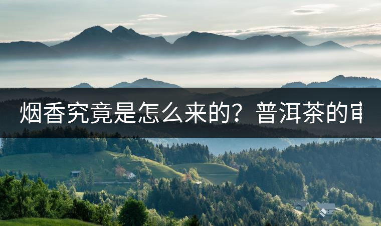 煙香究竟是怎么來(lái)的？普洱茶的審美困局。