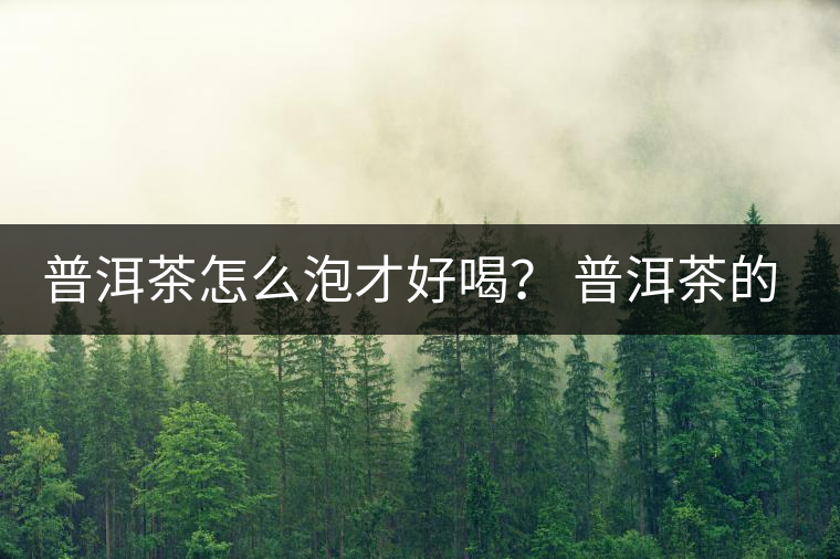 普洱茶怎么泡才好喝？ 普洱茶的沖泡技巧！
