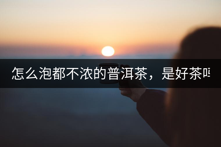 怎么泡都不濃的普洱茶，是好茶嗎？