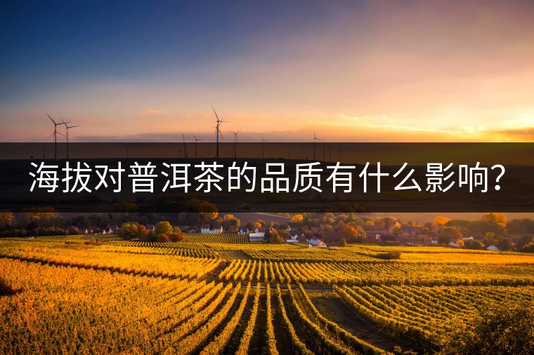 海拔對普洱茶的品質(zhì)有什么影響？