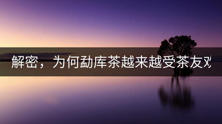 解密，為何勐庫茶越來越受茶友歡迎！