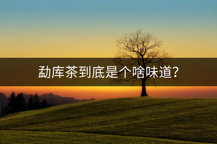 勐庫茶到底是個啥味道？