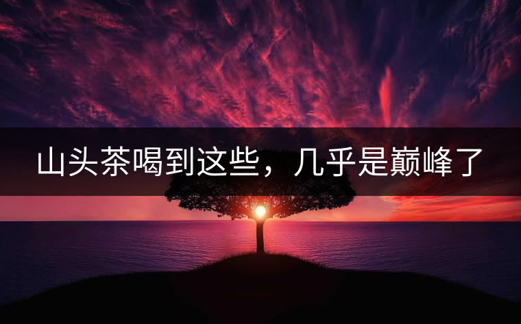 山頭茶喝到這些，幾乎是巔峰了