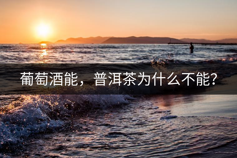 葡萄酒能，普洱茶為什么不能？