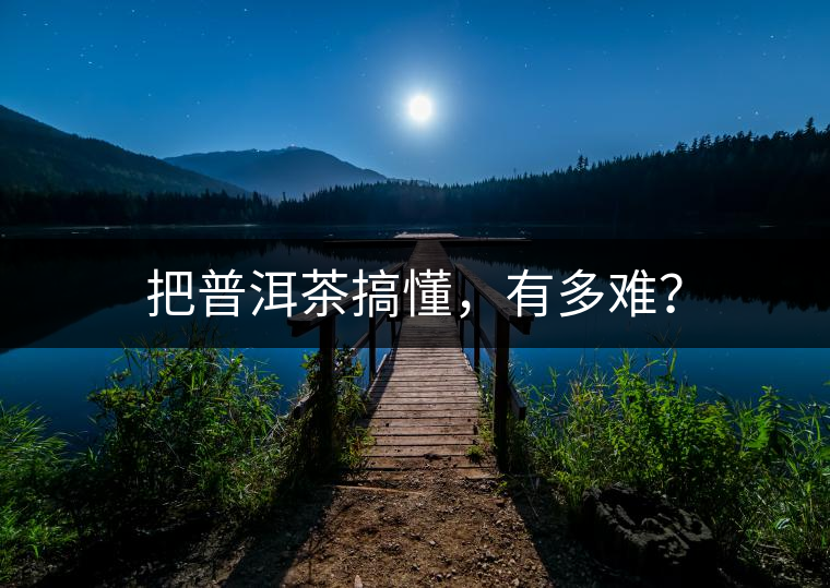 把普洱茶搞懂，有多難？