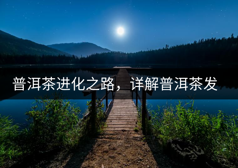 普洱茶進化之路，詳解普洱茶發(fā)展的三大重要階段