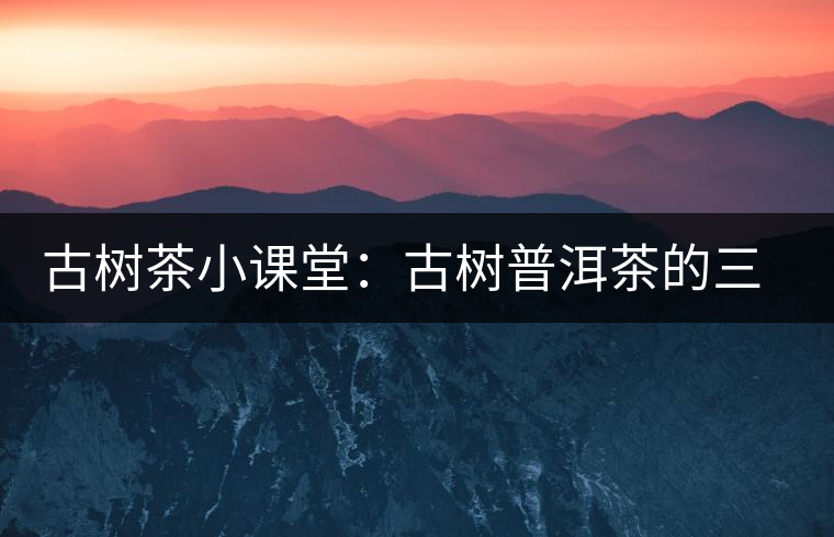 古樹茶小課堂:古樹普洱茶的三大價(jià)值 古樹茶小課堂:古樹普洱茶的三大價(jià)值