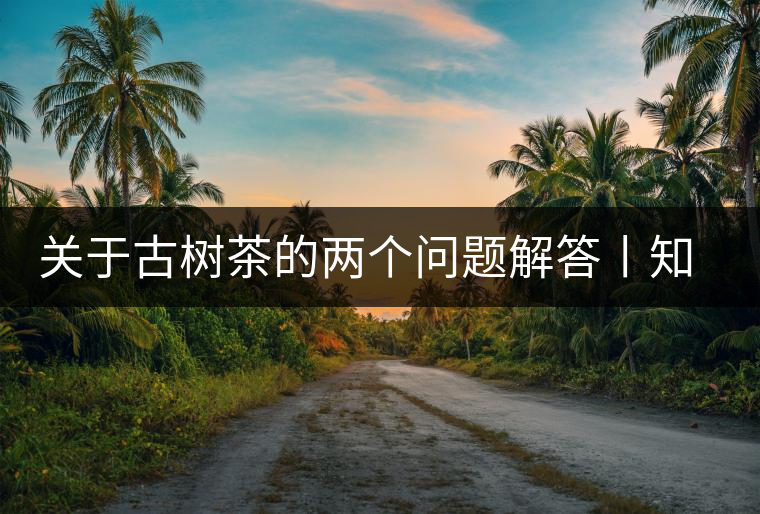 關(guān)于古樹(shù)茶的兩個(gè)問(wèn)題解答丨知識(shí) 關(guān)于古樹(shù)茶的兩個(gè)問(wèn)題解答丨知識(shí)