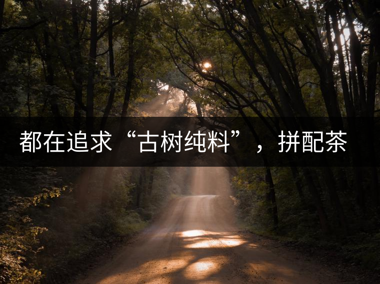都在追求“古樹(shù)純料”，拼配茶真的不如純料的？