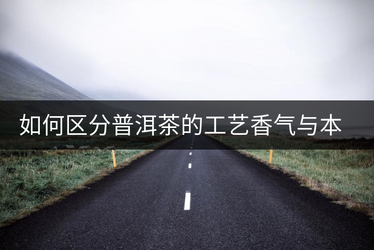如何區(qū)分普洱茶的工藝香氣與本質(zhì)香氣