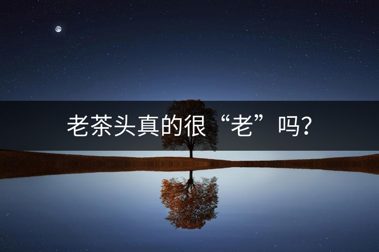 老茶頭真的很“老”嗎？