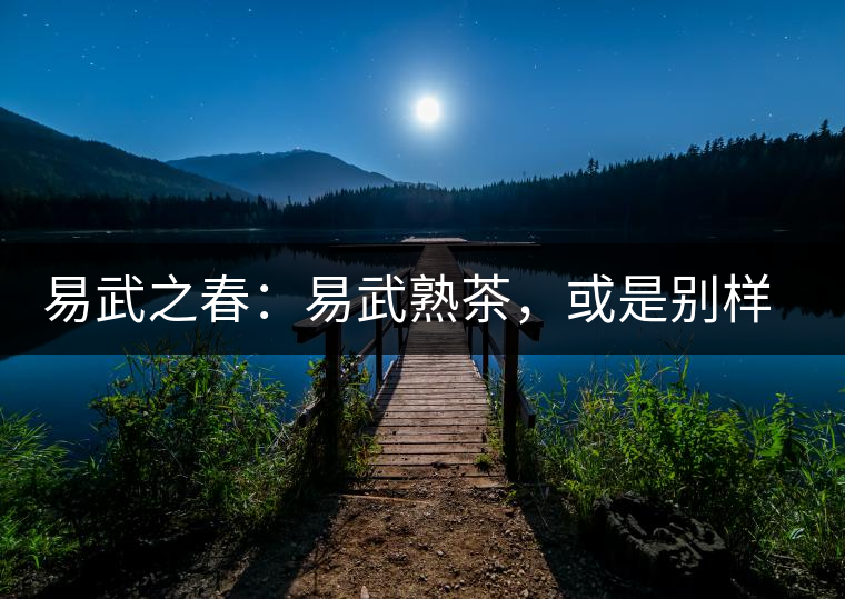 易武之春：易武熟茶，或是別樣風采丨賞鑒