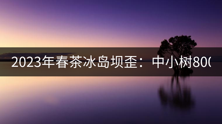 2023年春茶冰島壩歪：中小樹(shù)800元／公斤，古樹(shù)1400-1600元／公斤