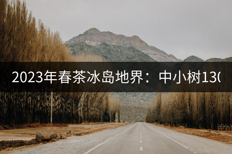 2023年春茶冰島地界：中小樹(shù)1300-1500元／公斤，古樹(shù)2200~2500元／公斤