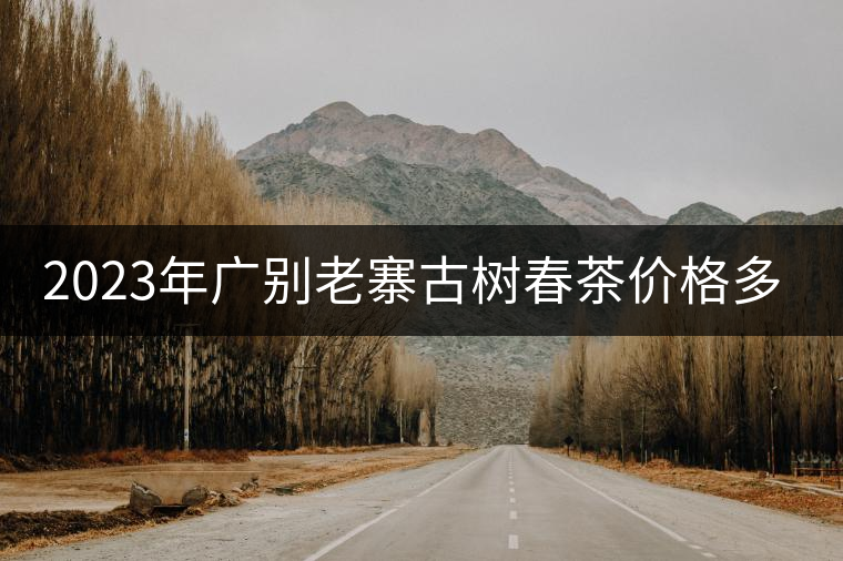 2023年廣別老寨古樹春茶價格多少？