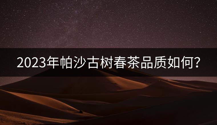 2023年帕沙古樹(shù)春茶品質(zhì)如何？