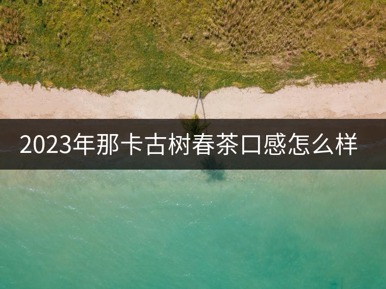 2023年那卡古樹(shù)春茶口感怎么樣？