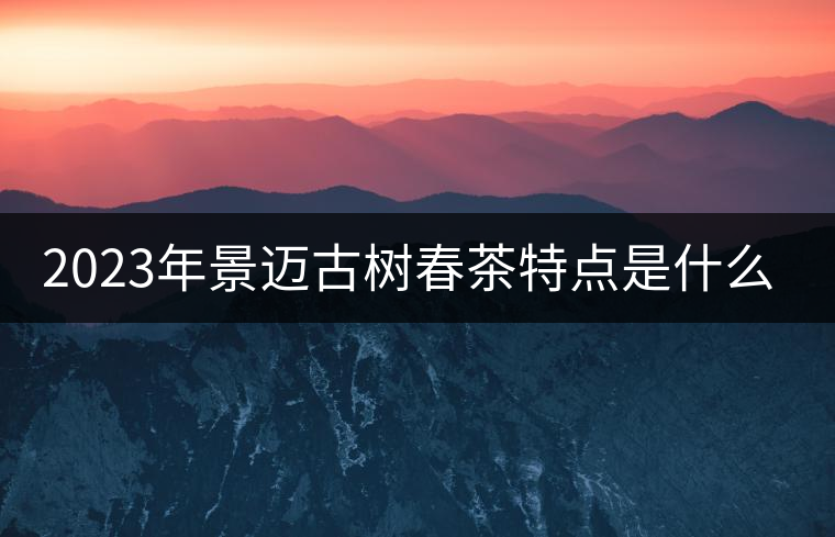 2023年景邁古樹春茶特點(diǎn)是什么？