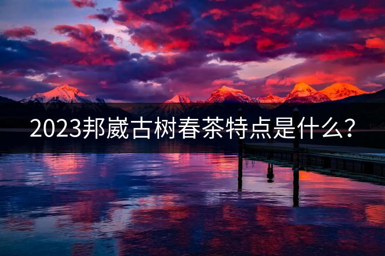 2023邦崴古樹春茶特點(diǎn)是什么？