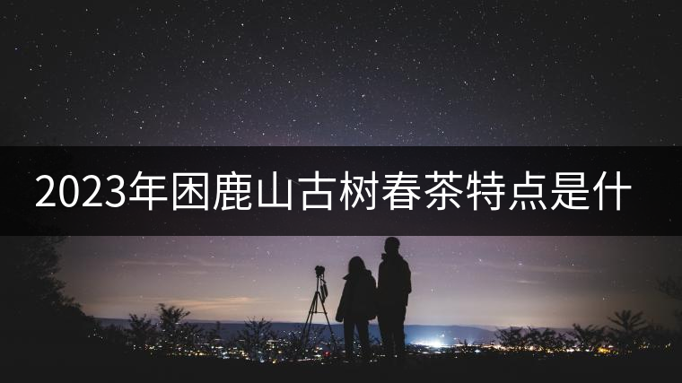 2023年困鹿山古樹春茶特點是什么？