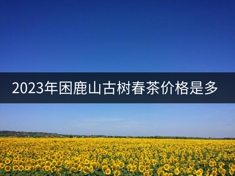 2023年困鹿山古樹(shù)春茶價(jià)格是多少? 2023年困鹿山古樹(shù)春茶價(jià)格是多少?