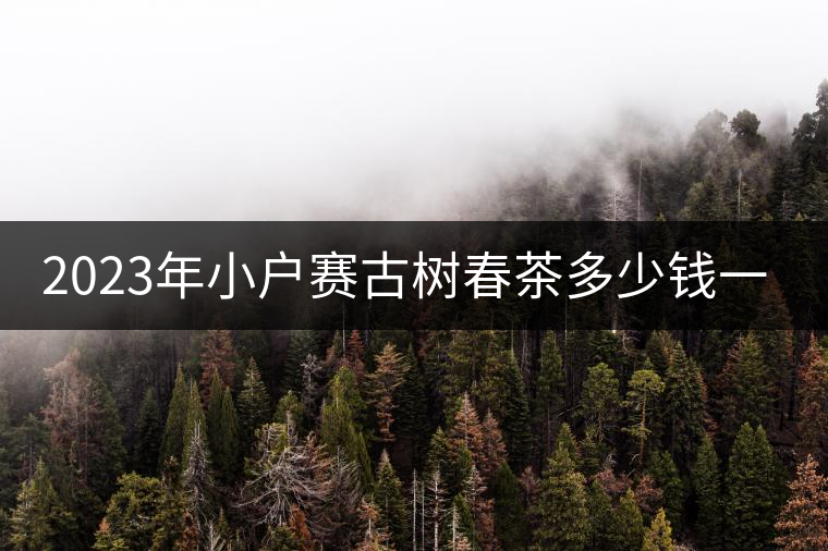 2023年小戶賽古樹春茶多少錢一公斤？