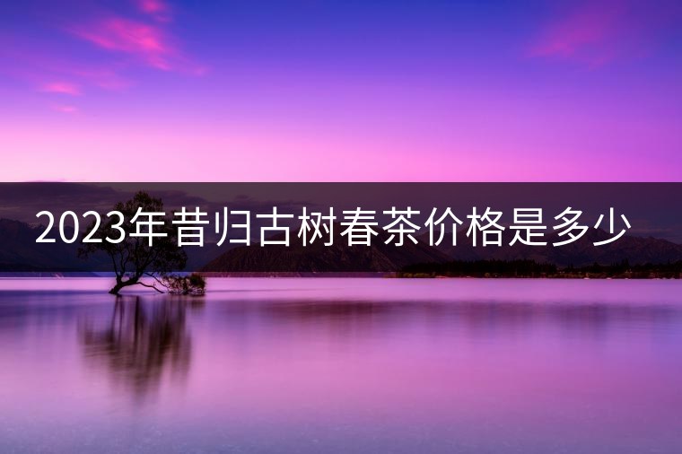 2023年昔歸古樹春茶價格是多少？