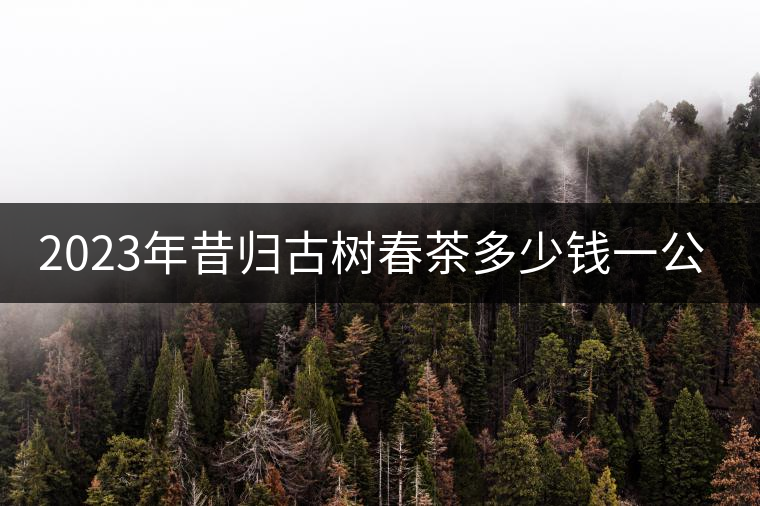 2023年昔歸古樹春茶多少錢一公斤？