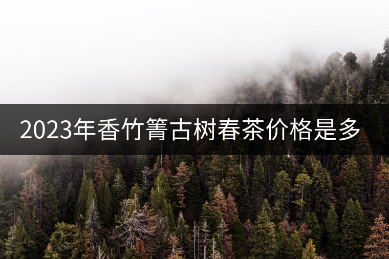2023年香竹箐古樹春茶價格是多少？