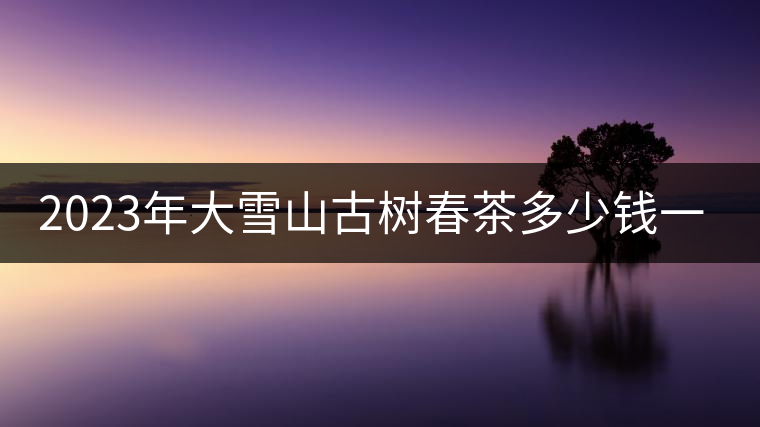 2023年大雪山古樹(shù)春茶多少錢一公斤？