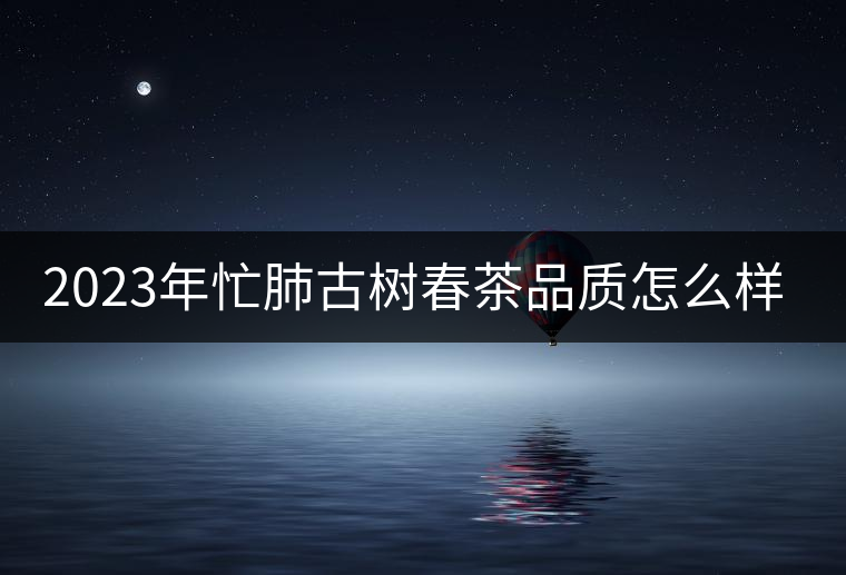 2023年忙肺古樹春茶品質(zhì)怎么樣？