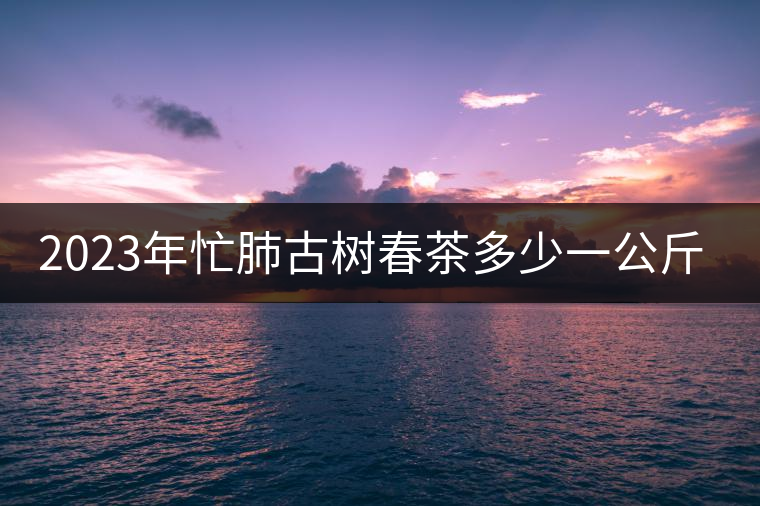 2023年忙肺古樹春茶多少一公斤？