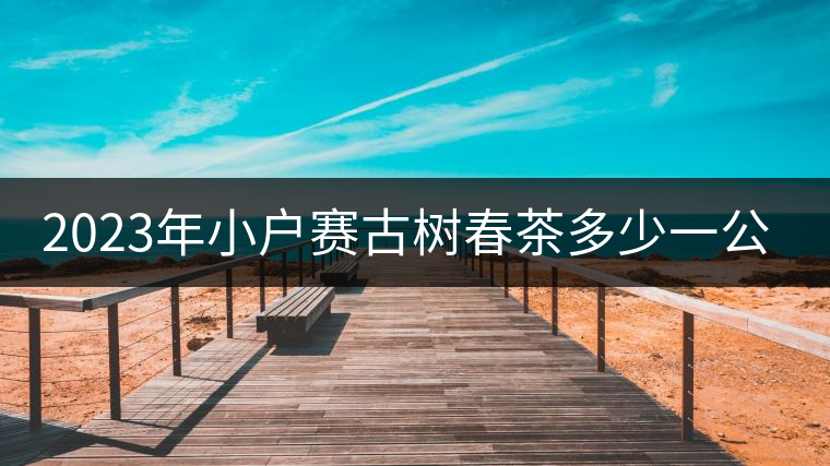 2023年小戶賽古樹春茶多少一公斤？