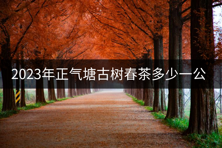 2023年正氣塘古樹春茶多少一公斤？