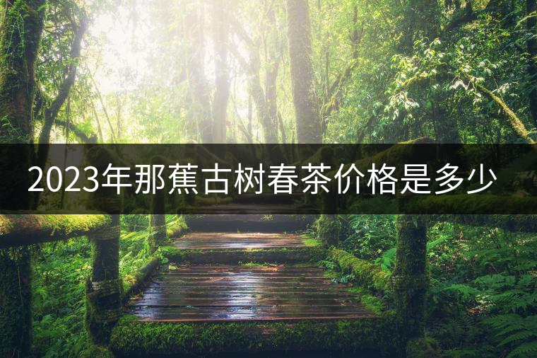 2023年那蕉古樹(shù)春茶價(jià)格是多少?